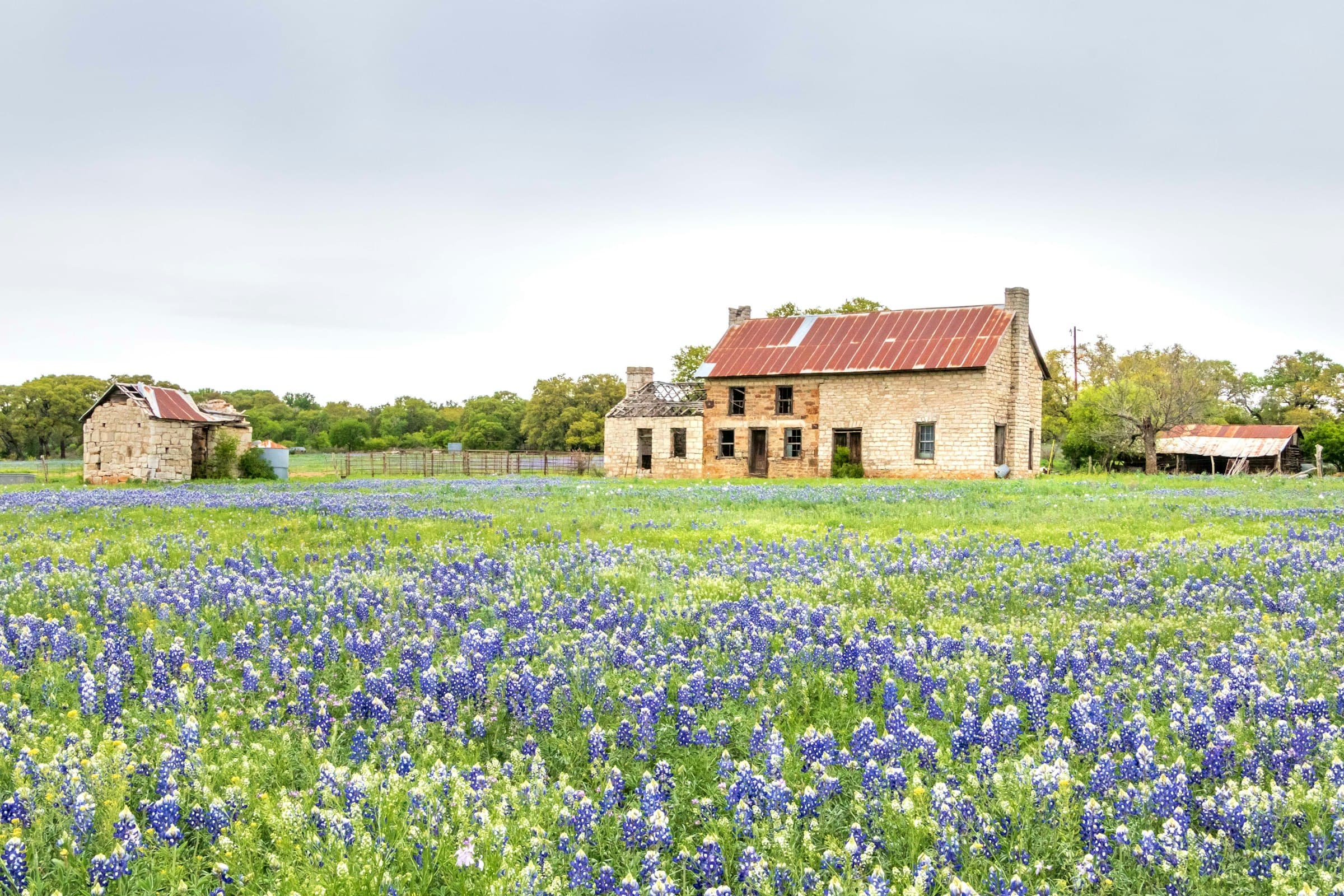 The Texas landscape at sunset